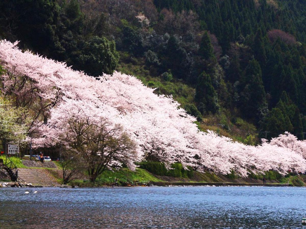 Racine Home Harie Takashima Ngoại thất bức ảnh
